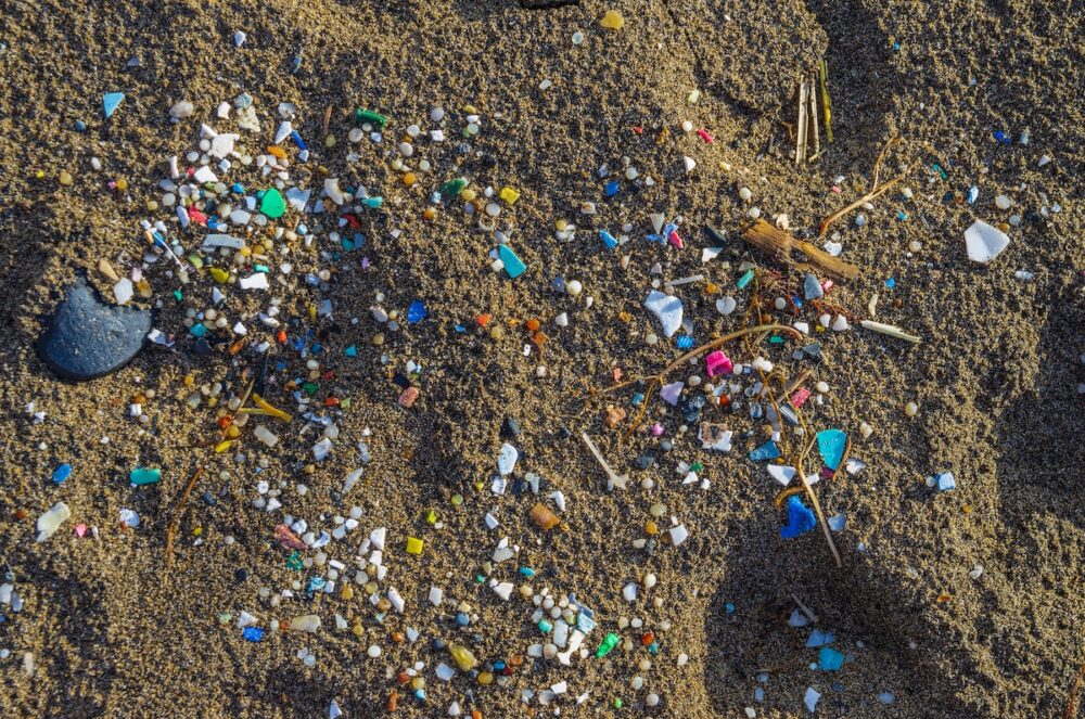 Catch basin for microplastics: The sedimentary storage of plastics in ...