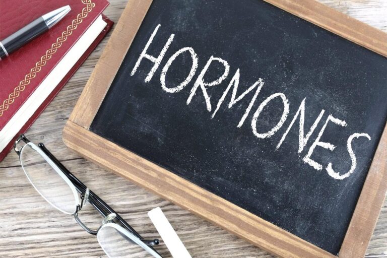 Hormone replacement therapy: A delicate balance – NU Sci Magazine